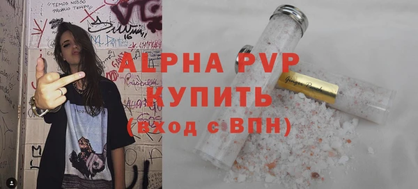 стаф Бородино