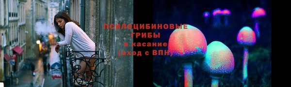 тгк Бронницы