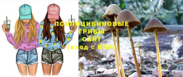 стаф Бородино