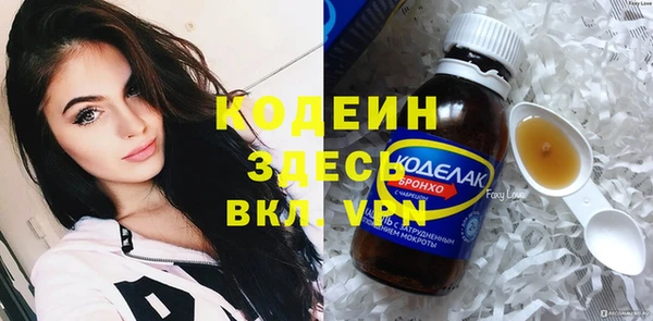 стаф Бородино