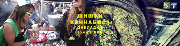 стаф Бородино