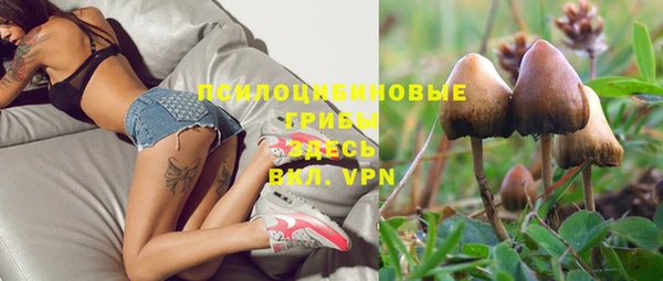 спиды Бугульма