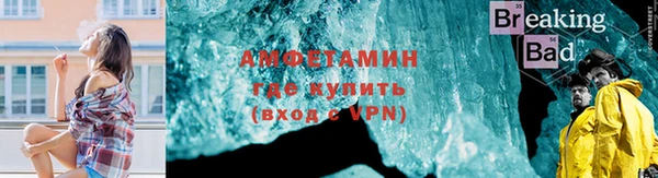 стаф Бородино