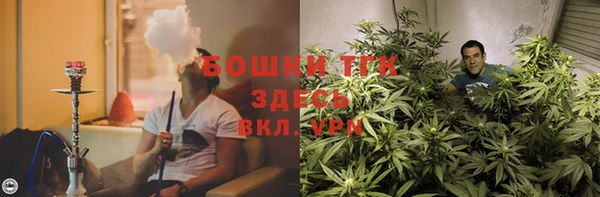 стаф Бородино
