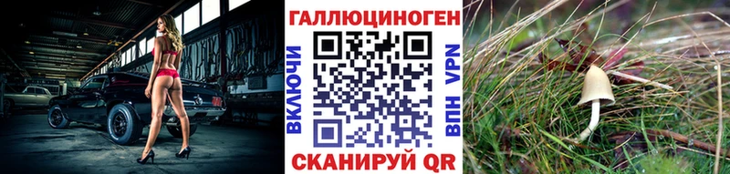 Псилоцибиновые грибы Psilocybine cubensis  Белгород 